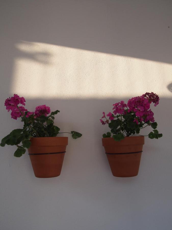 Suites 9 Malaga, Three Unique Suites With Private Plunge Pool Екстер'єр фото